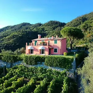 Pensión La Vignana - 5 Terre, Levanto